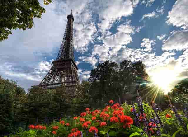 袖虎病猫攻略：猫咪被鱼刺卡住咋办