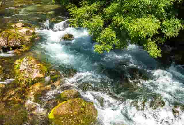 法国对日本奥运会(法国奥运会是哪一年)
