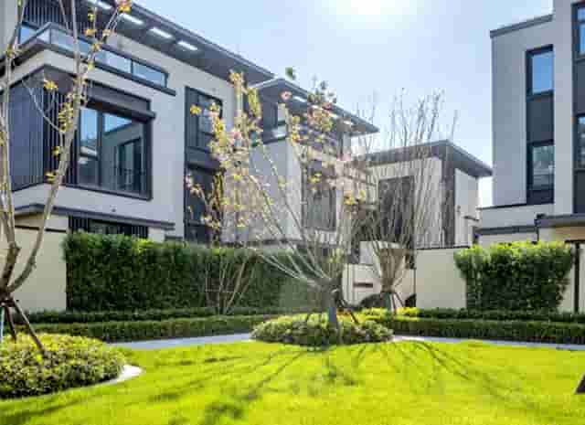 直播带货平台销量(明星直播带货销量)