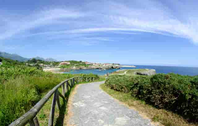 数藏圈的一匹黑马——火兔“FIRE BUNNY”