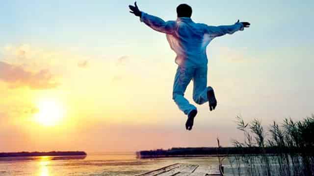 袖虎病猫攻略：猫老打喷嚏？注意这个关键元素